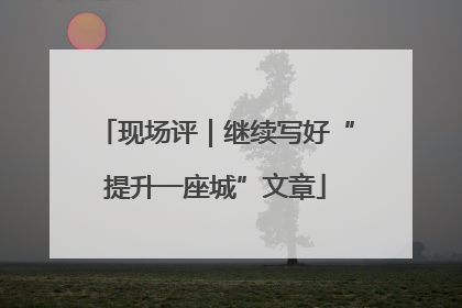 现场评｜继续写好“提升一座城”文章