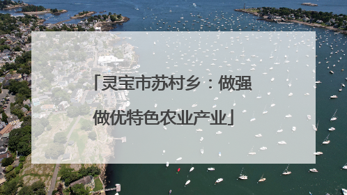 灵宝市苏村乡：做强做优特色农业产业