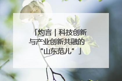 灼言｜科技创新与产业创新共融的“山东范儿”