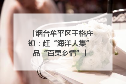 烟台牟平区王格庄镇：赶“海洋大集” 品“百果乡情”