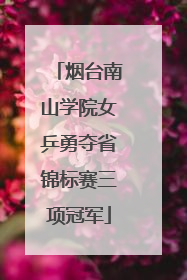 烟台南山学院女乒勇夺省锦标赛三项冠军