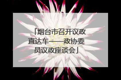 烟台市召开议政直达车——政协委员议政座谈会