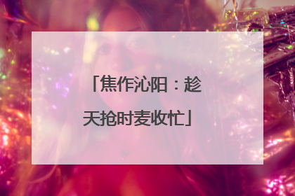 焦作沁阳：趁天抢时麦收忙
