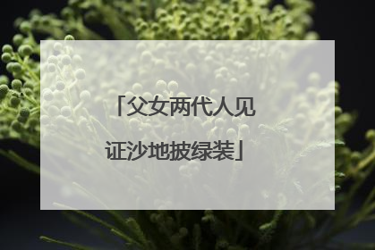 父女两代人见证沙地披绿装