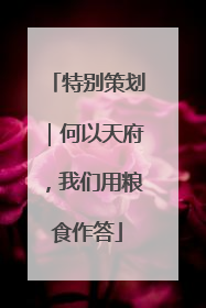 特别策划｜何以天府，我们用粮食作答