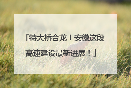 特大桥合龙！安徽这段高速建设最新进展！