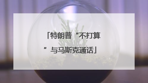 特朗普“不打算”与马斯克通话