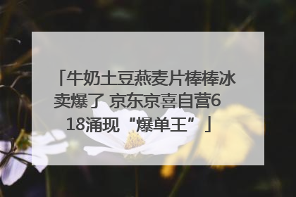 牛奶土豆燕麦片棒棒冰卖爆了 京东京喜自营618涌现“爆单王”