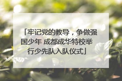 牢记党的教导，争做强国少年 成都成华特校举行少先队入队仪式