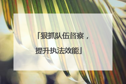 狠抓队伍督察，提升执法效能