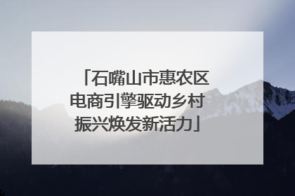 石嘴山市惠农区电商引擎驱动乡村振兴焕发新活力