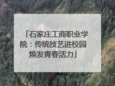 石家庄工商职业学院：传统技艺进校园焕发青春活力