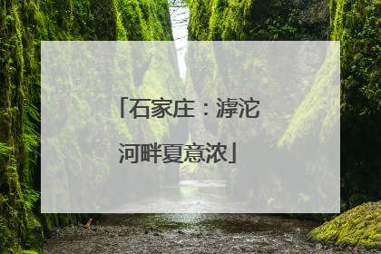 石家庄：滹沱河畔夏意浓