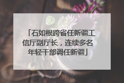 石如根跨省任新疆工信厅副厅长，连续多名年轻干部调任新疆