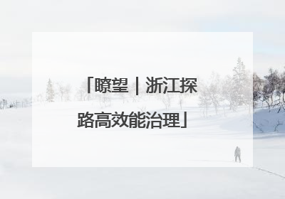 瞭望｜浙江探路高效能治理
