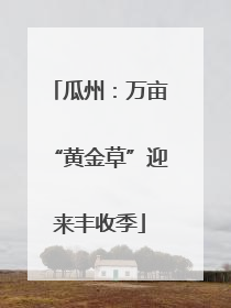 瓜州：万亩“黄金草”迎来丰收季