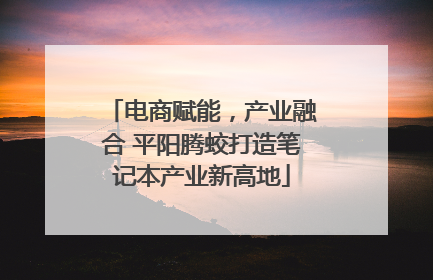 电商赋能，产业融合 平阳腾蛟打造笔记本产业新高地
