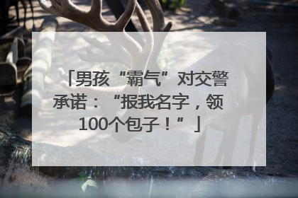 男孩“霸气”对交警承诺：“报我名字，领100个包子！”