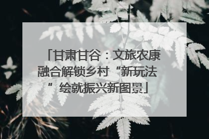 甘肃甘谷：文旅农康融合解锁乡村“新玩法”绘就振兴新图景