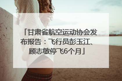 甘肃省航空运动协会发布报告：飞行员彭玉江、顾志敏停飞6个月