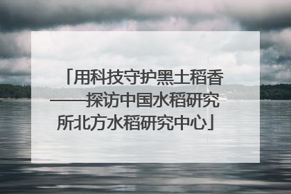 用科技守护黑土稻香——探访中国水稻研究所北方水稻研究中心