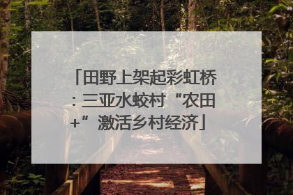 田野上架起彩虹桥：三亚水蛟村“农田+”激活乡村经济