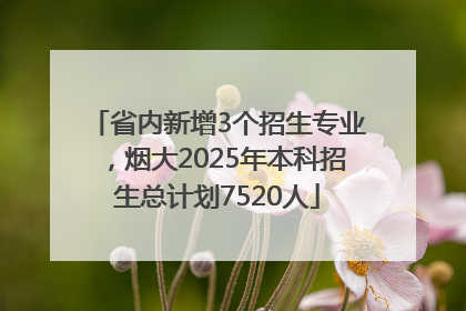 省内新增3个招生专业，烟大2025年本科招生总计划7520人