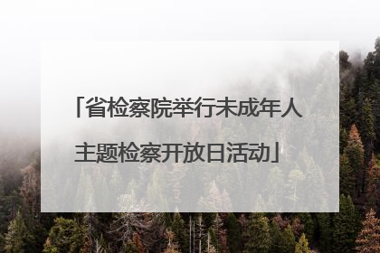 省检察院举行未成年人主题检察开放日活动