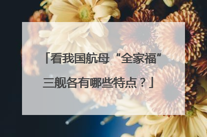 看我国航母“全家福” 三舰各有哪些特点？