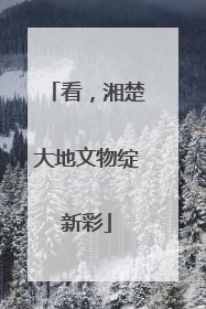 看，湘楚大地文物绽新彩