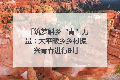 筑梦斛乡“青”力量：太平畈乡乡村振兴青春进行时