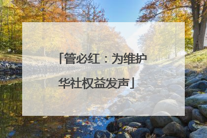 管必红：为维护华社权益发声