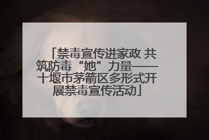 禁毒宣传进家政 共筑防毒“她”力量——十堰市茅箭区多形式开展禁毒宣传活动