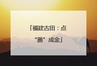 福建古田：点“菌”成金