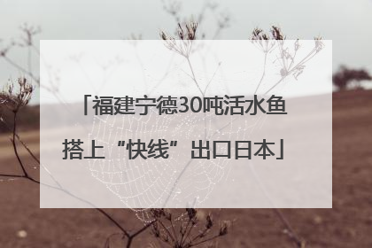 福建宁德30吨活水鱼搭上“快线”出口日本