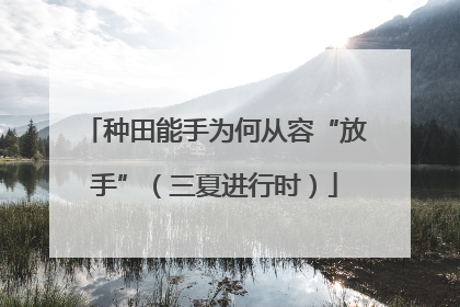 种田能手为何从容“放手”（三夏进行时）