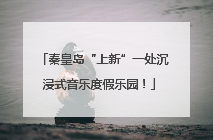 秦皇岛“上新”一处沉浸式音乐度假乐园！