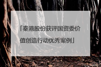 秦港股份获评国资委价值创造行动优秀案例