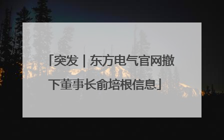 突发｜东方电气官网撤下董事长俞培根信息