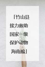 竹山县接力救助国家一级保护动物海南鳽
