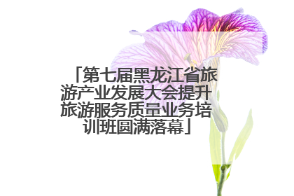 第七届黑龙江省旅游产业发展大会提升旅游服务质量业务培训班圆满落幕