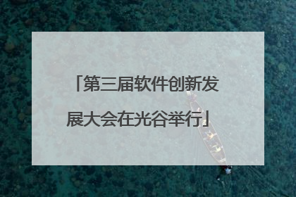 第三届软件创新发展大会在光谷举行
