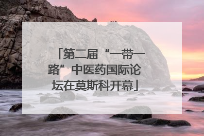 第二届“一带一路”中医药国际论坛在莫斯科开幕