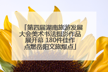 第四届湖南旅游发展大会美术书法摄影作品展开幕 180件佳作点燃岳阳文旅爆点