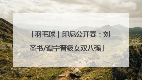 羽毛球｜印尼公开赛：刘圣书/谭宁晋级女双八强