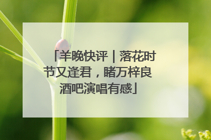 羊晚快评｜落花时节又逢君，睹万梓良酒吧演唱有感