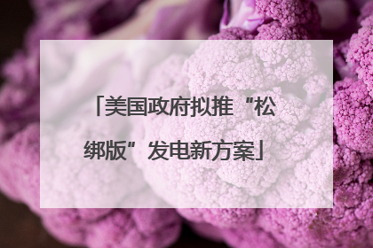 美国政府拟推“松绑版”发电新方案