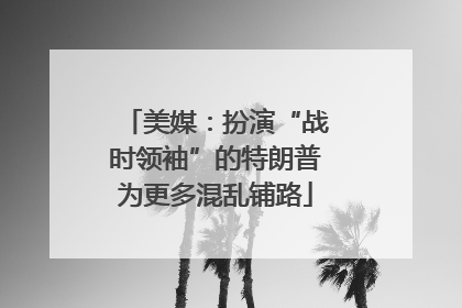 美媒：扮演“战时领袖”的特朗普为更多混乱铺路