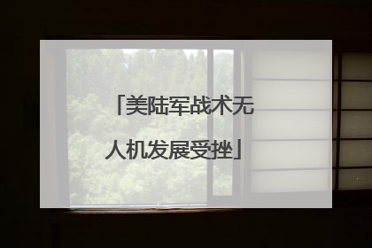 美陆军战术无人机发展受挫