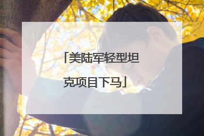 美陆军轻型坦克项目下马